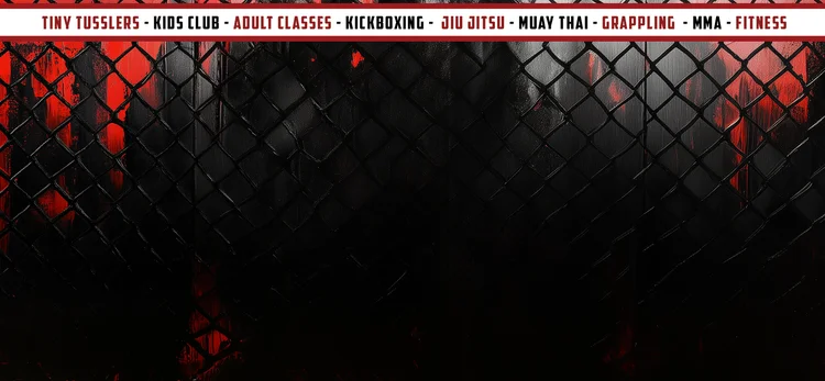 Fight Lab Mixed Martial Arts facility image