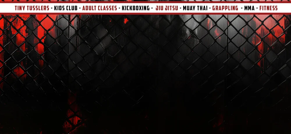 Fight Lab Mixed Martial Arts facility image