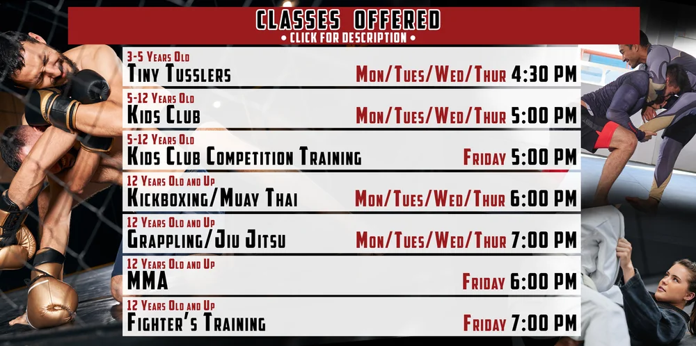 Fight Lab Mixed Martial Arts facility image
