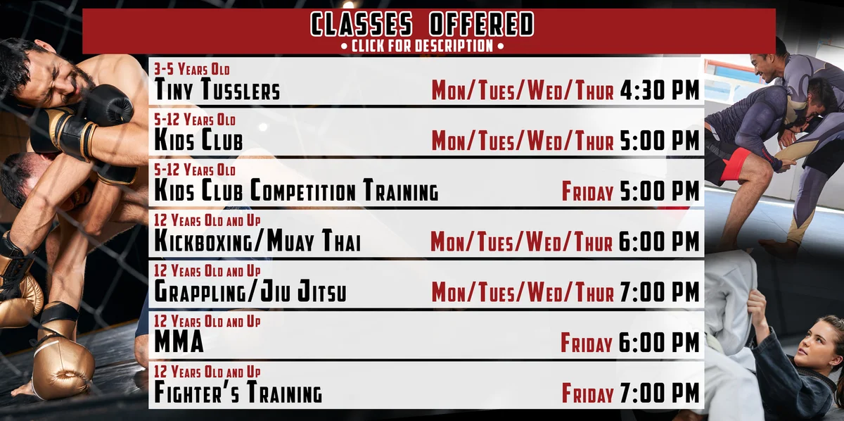Fight Lab Mixed Martial Arts facility image
