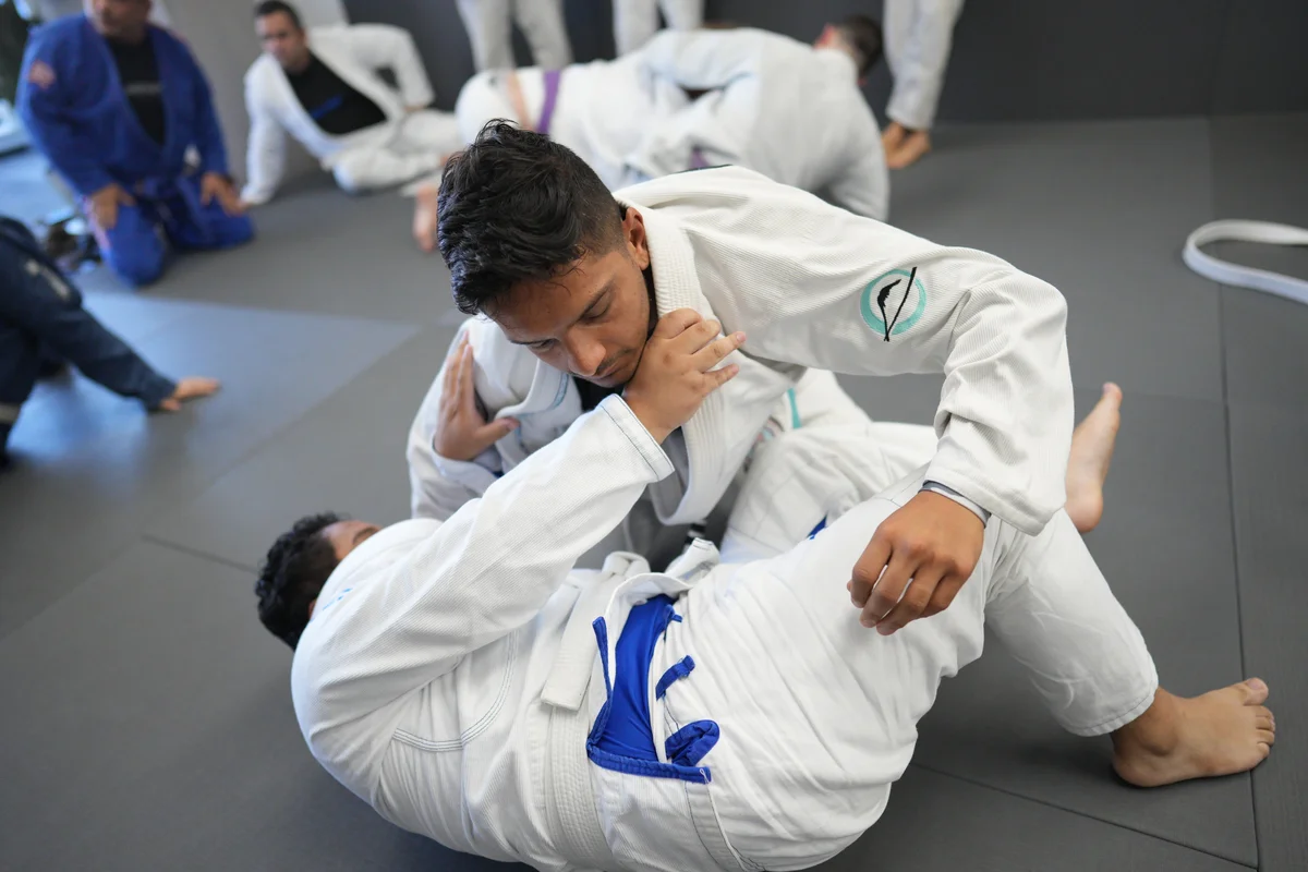 Gentle Arts Jiu Jitsu facility image