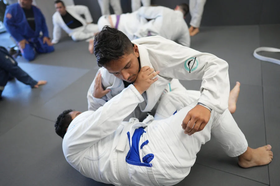 Gentle Arts Jiu Jitsu facility image