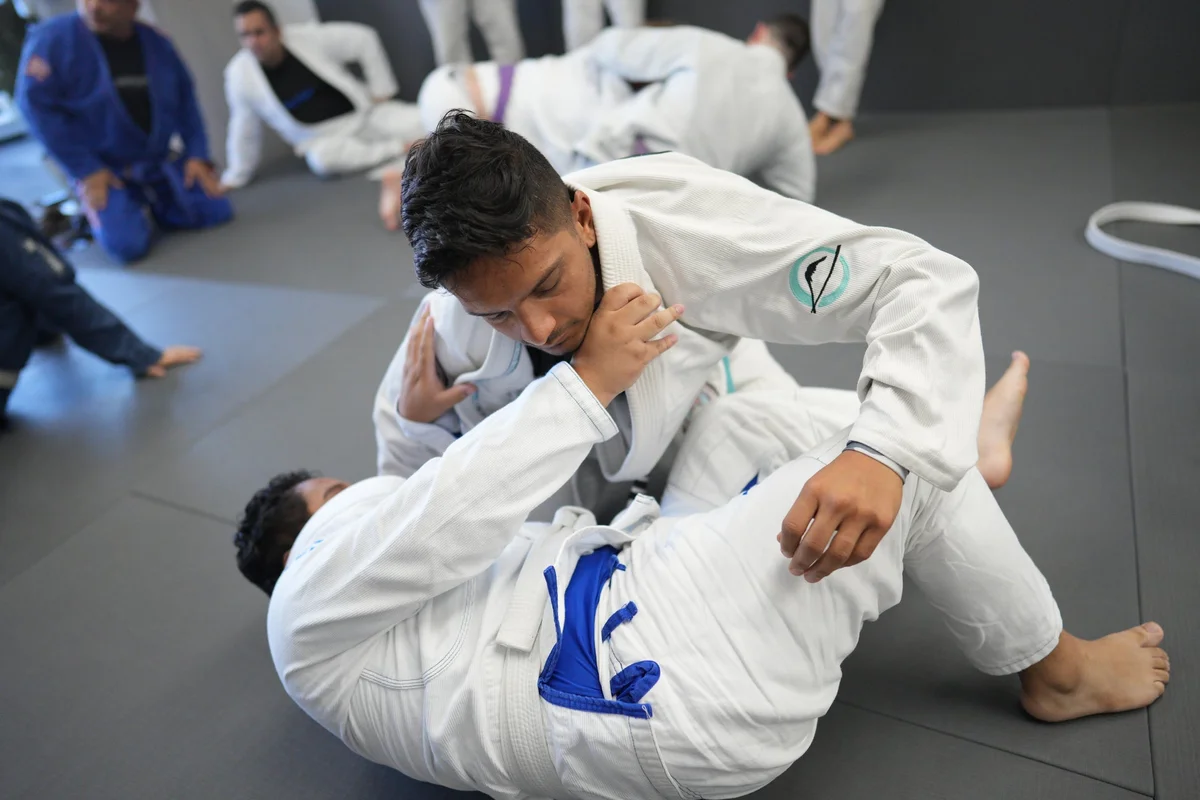 Gentle Arts Jiu Jitsu facility image