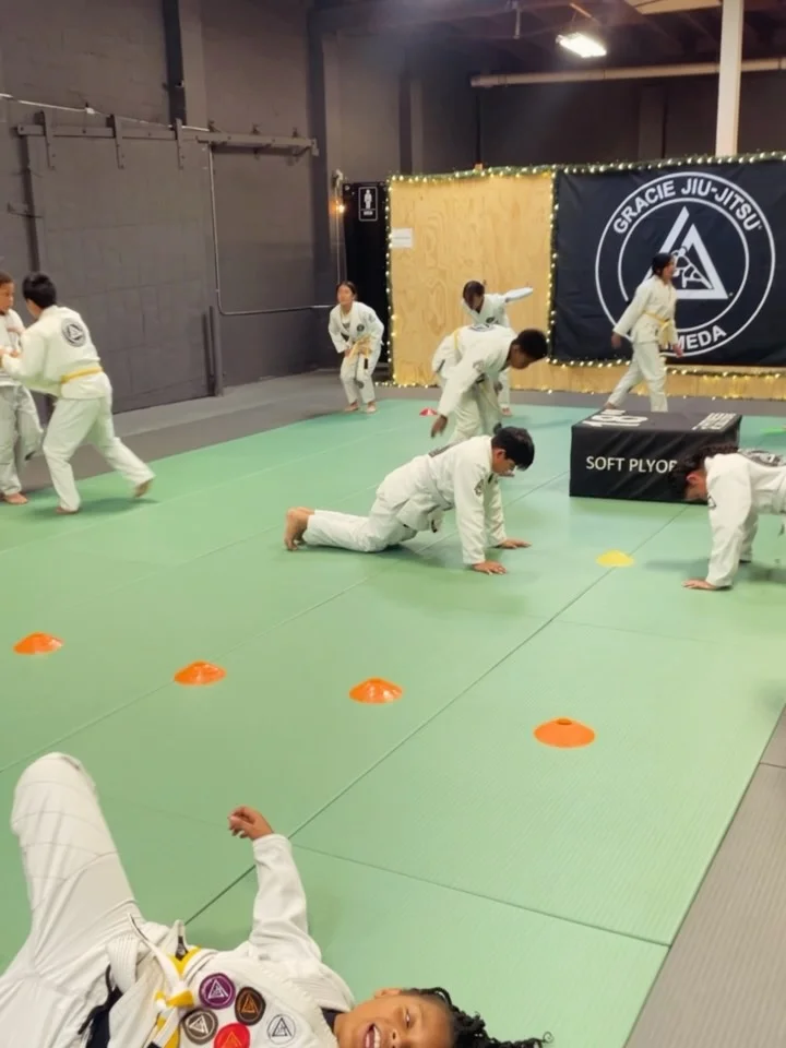 ALAMEDA JIU-JITSU / Alameda Brazilian Jiu-Jitsu Academy facility image