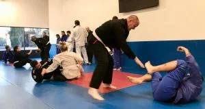 Ground-Up Brazilian Jiu-Jitsu Academy, LLC facility image