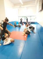 Ground-Up Brazilian Jiu-Jitsu Academy, LLC facility image