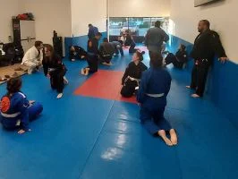 Ground-Up Brazilian Jiu-Jitsu Academy, LLC facility image
