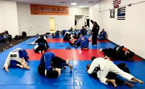 Ground-Up Brazilian Jiu-Jitsu Academy, LLC facility image