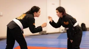 Ground-Up Brazilian Jiu-Jitsu Academy, LLC facility image