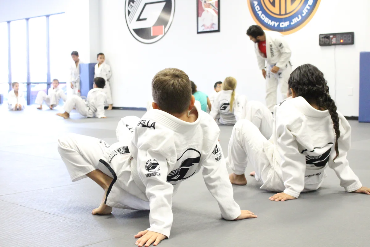 Guerrilla Jiu-Jitsu facility image