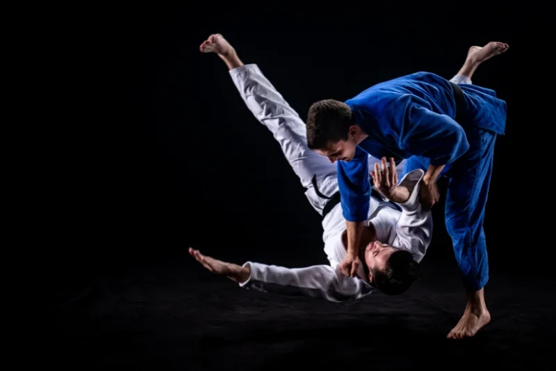Hayastan MMA Academy Northridge facility image