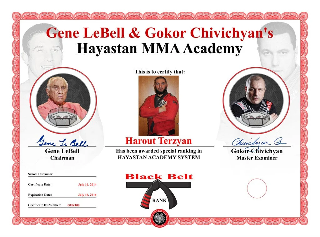 Hayastan MMA Academy Northridge facility image