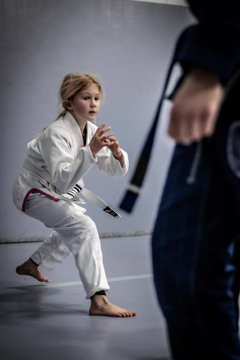 Hollister Brazilian Jiu Jitsu facility image
