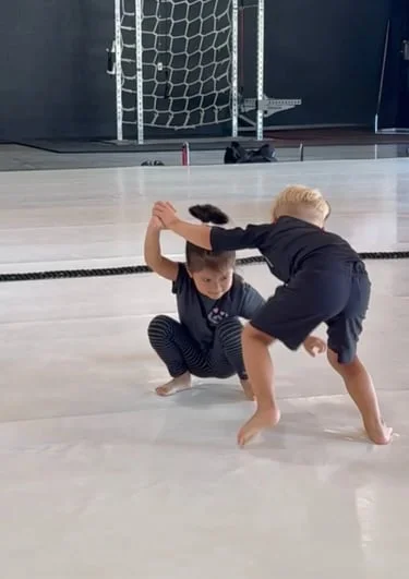 Jiu Jitsu Kaizen academy logo