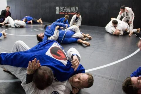 Kaiju MMA & Fitness facility image