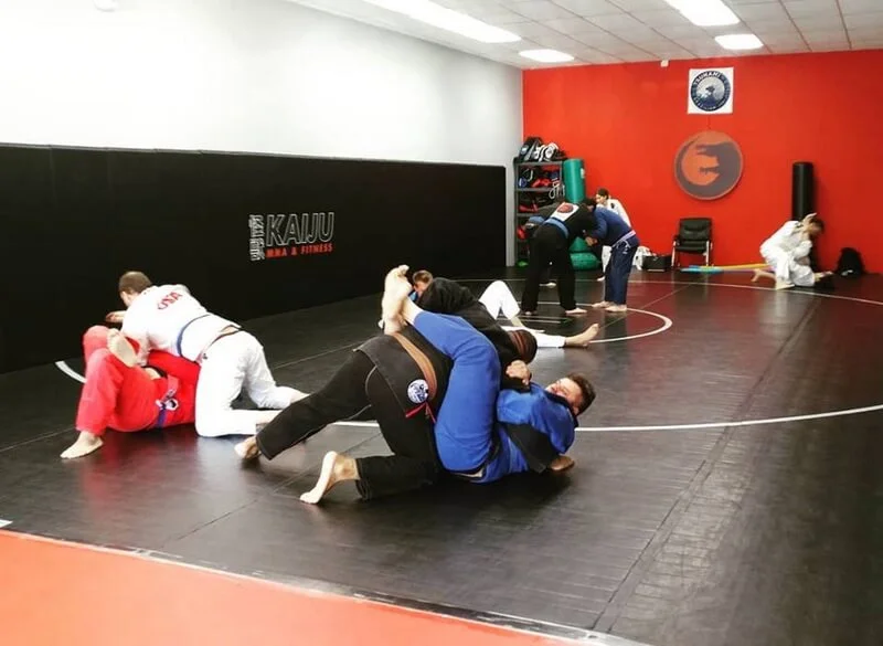 Kaiju MMA & Fitness facility image