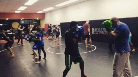 Kaiju MMA & Fitness facility image