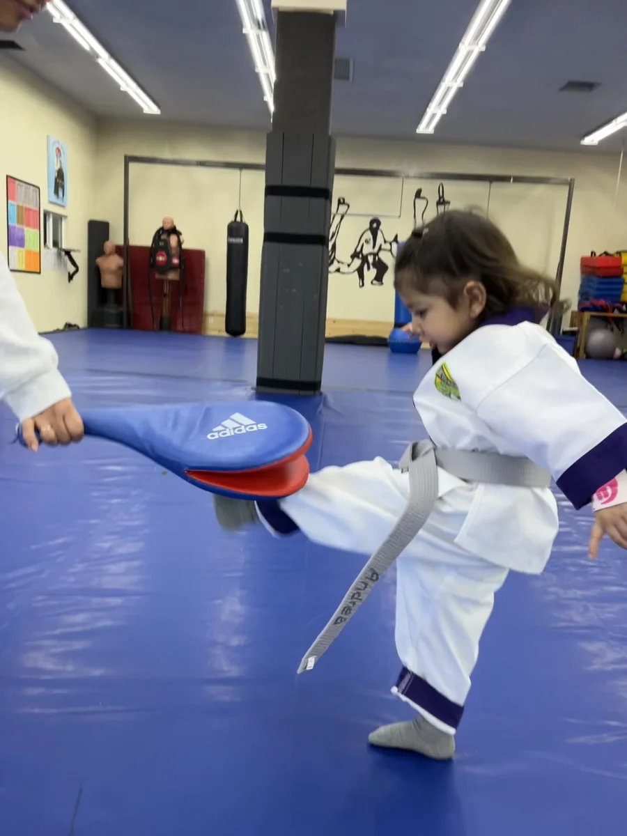 Kim’s Hapkido facility image