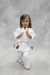 Kim’s Hapkido facility image