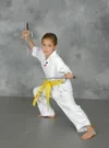 Kim’s Hapkido facility image