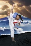 Kim’s Hapkido facility image