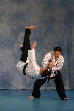 Kim’s Hapkido facility image