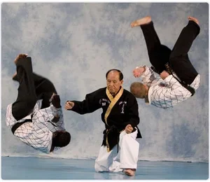 Kim’s Hapkido facility image
