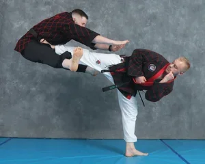 Kim’s Hapkido facility image