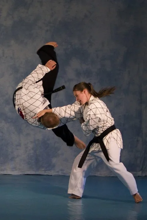 Kim’s Hapkido facility image