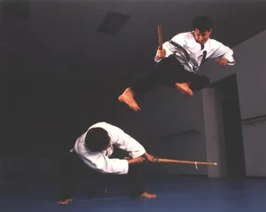 Kim’s Hapkido facility image