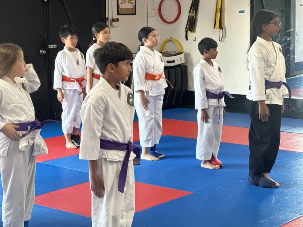 Kokua Martial Arts Fitness Academy facility image
