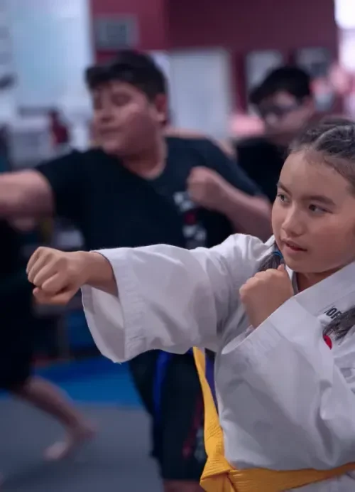 Kovar's Elk Grove-Laguna Academy facility image
