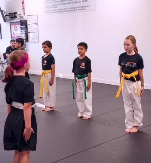 Kovar's Satori Academy / Kovar's Folsom Martial Arts Academy facility image