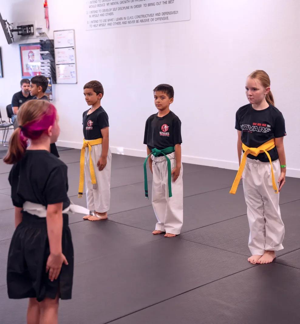 Kovar's Satori Academy / Kovar's Folsom Martial Arts Academy facility image