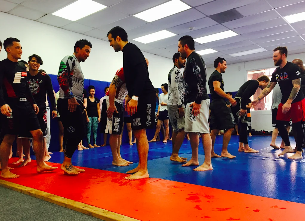 LEOPOLDO SERAO BRAZILIAN JIU-JITSU & MARTIAL ARTS ACADEMY facility image