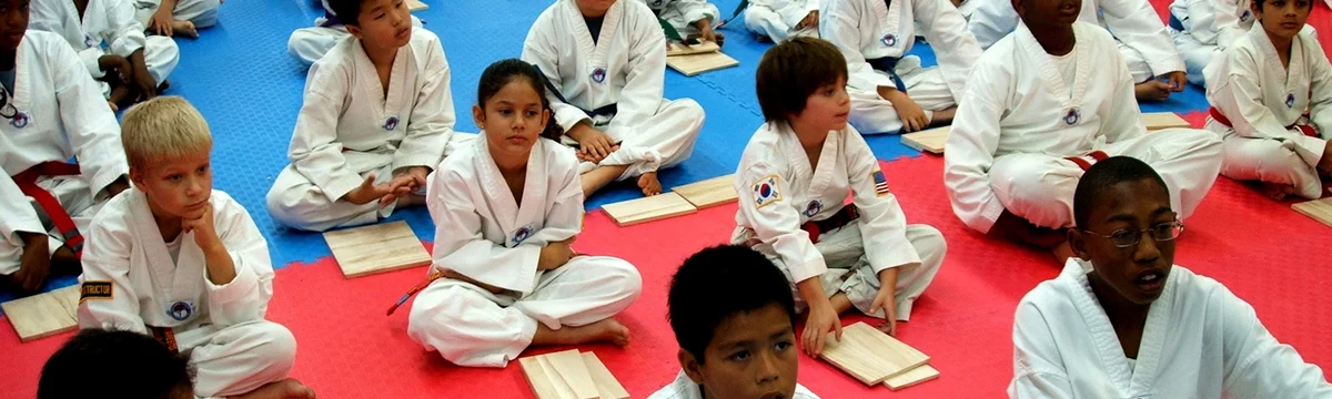 Lima Taekwondo & Martial Arts Academy (LIMA TKD) facility image