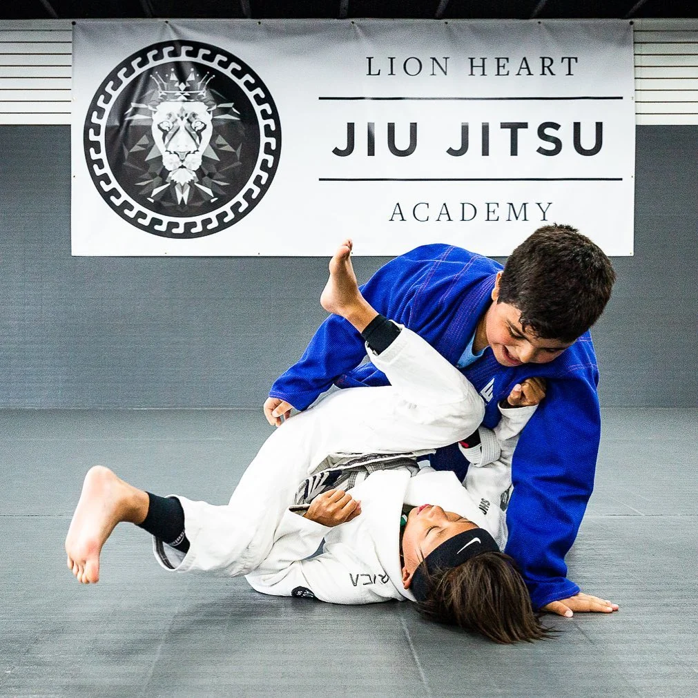 Lion Heart Jiu Jitsu Academy facility image