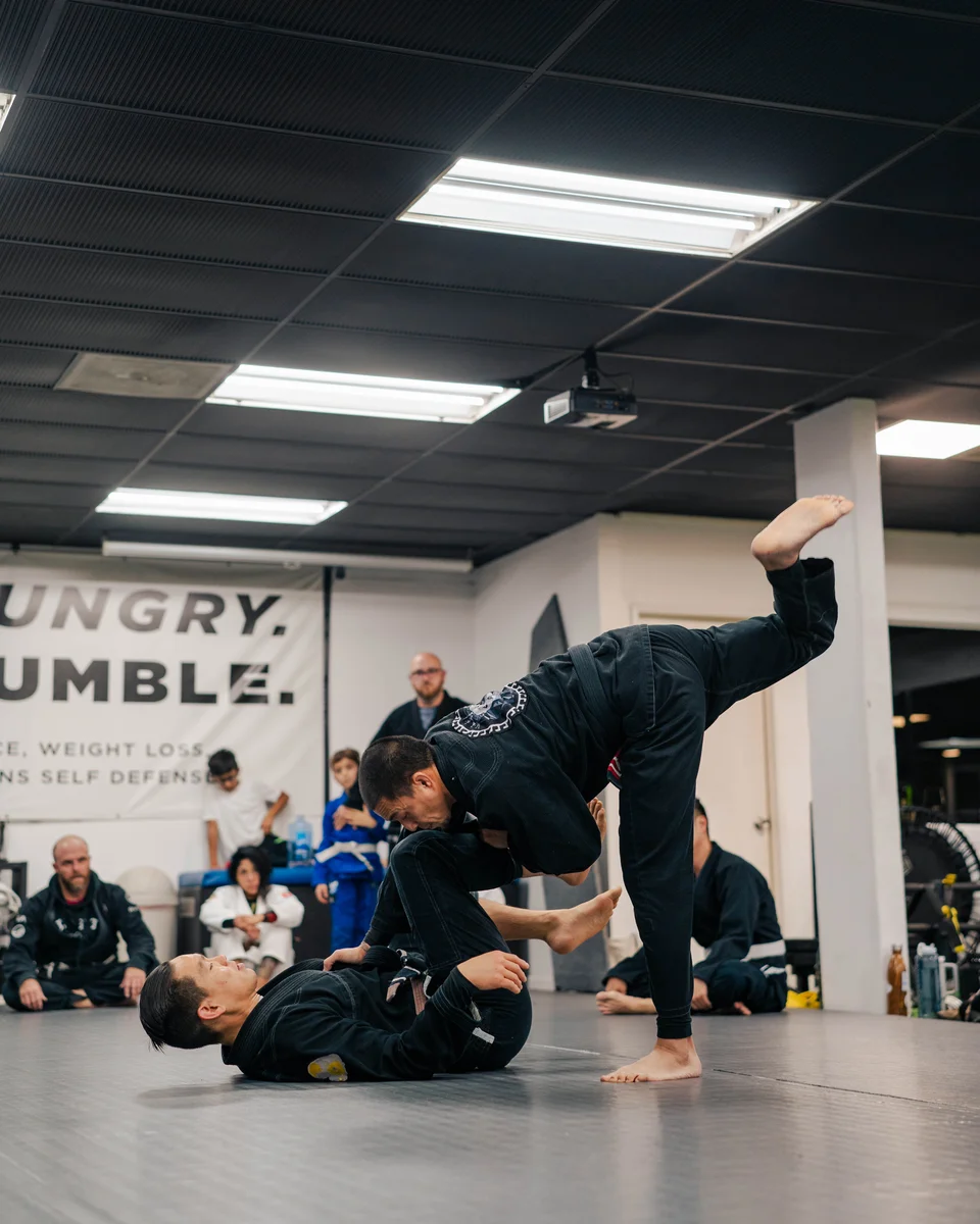 Lion Heart Jiu Jitsu Academy facility image