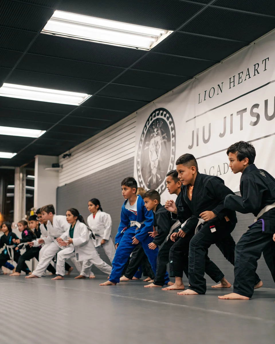 Lion Heart Jiu Jitsu Academy facility image