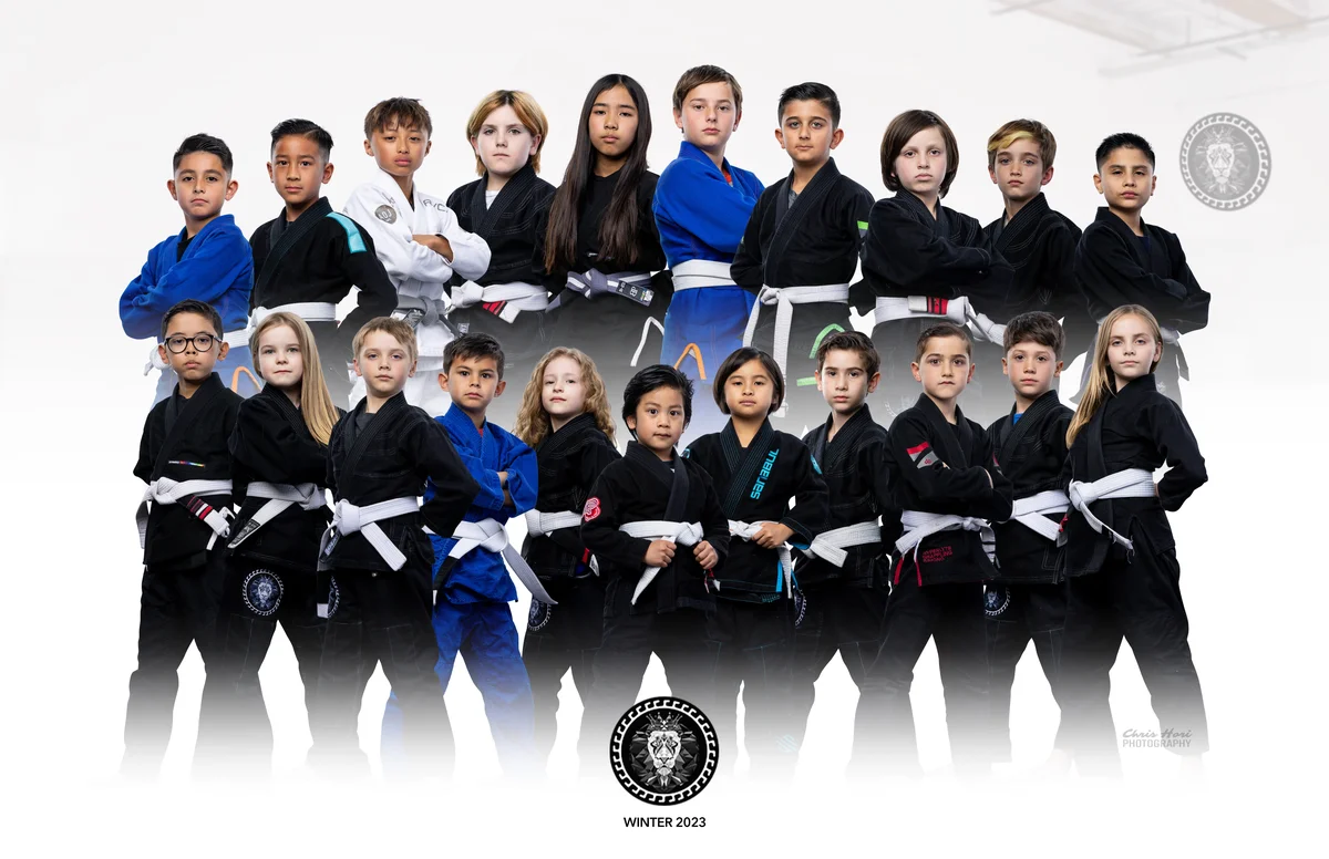 Lion Heart Jiu Jitsu Academy facility image