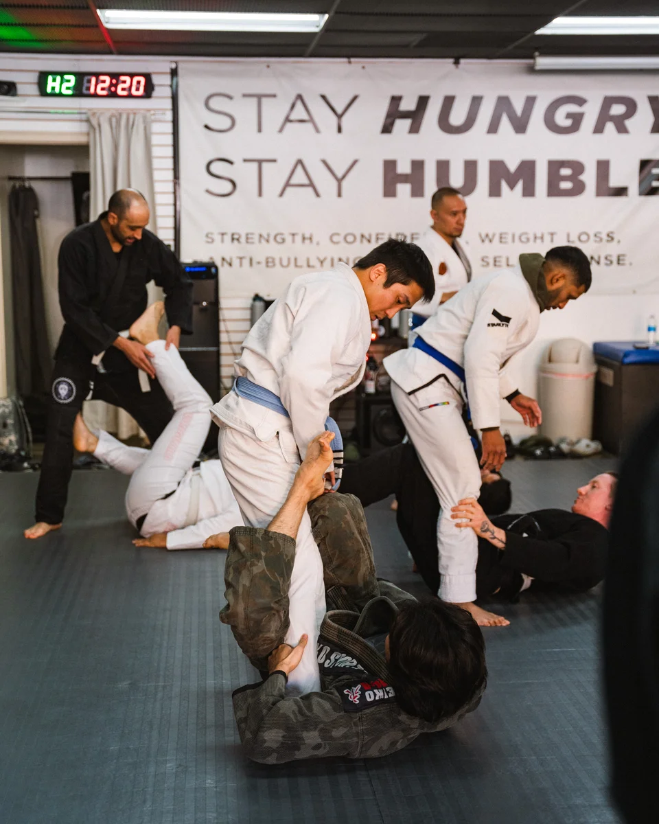 Lion Heart Jiu Jitsu Academy facility image