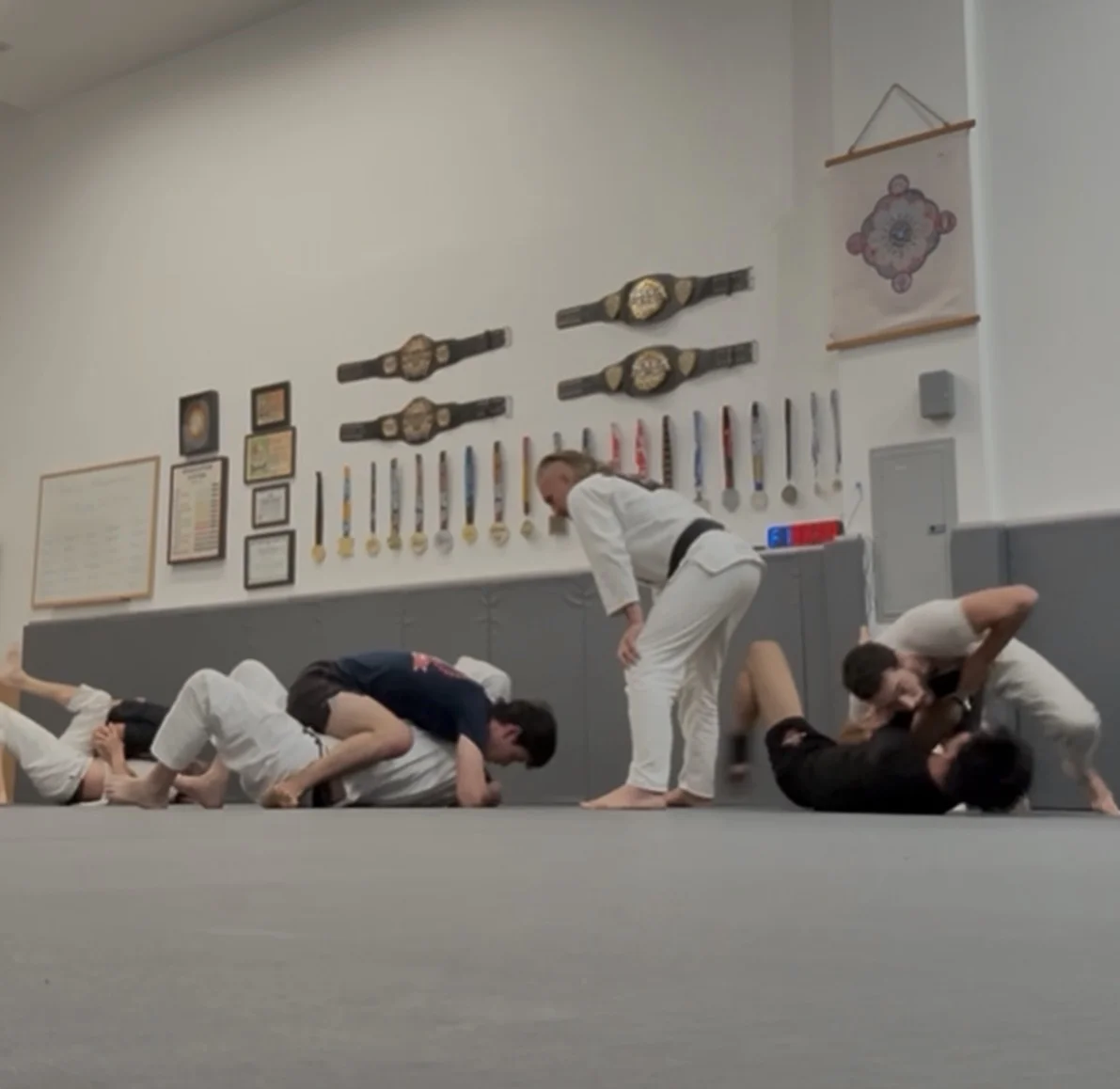 Malibu Jiu-Jitsu facility image