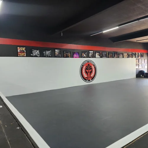 Mauricio Alonso BJJ facility image