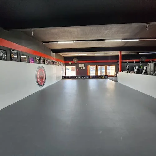 Mauricio Alonso BJJ facility image