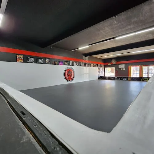 Mauricio Alonso BJJ facility image