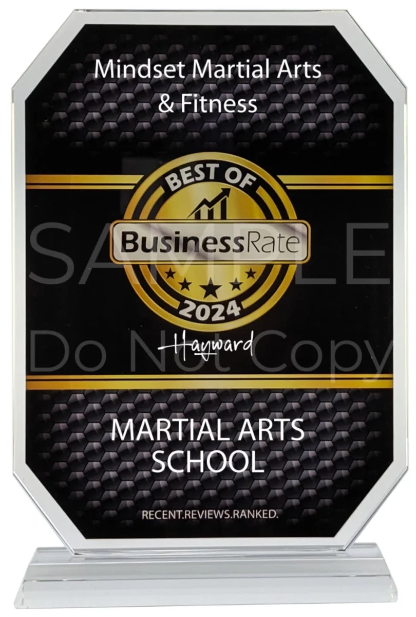 Mindset Martial Arts & Fitness facility image