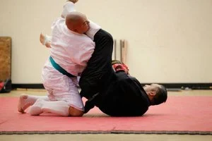 Mixed Combative Systems facility image