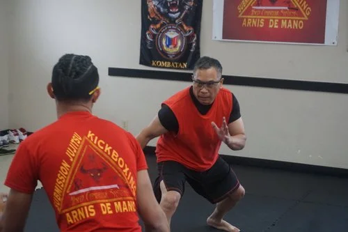 Mixed Combative Systems facility image