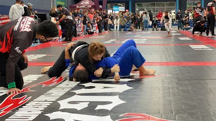 The Mats at Morales Brazilian Jiu Jitsu facility image