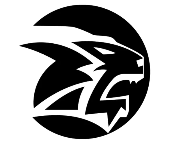 Morumbi Jiu Jitsu & Fitness Academy academy logo